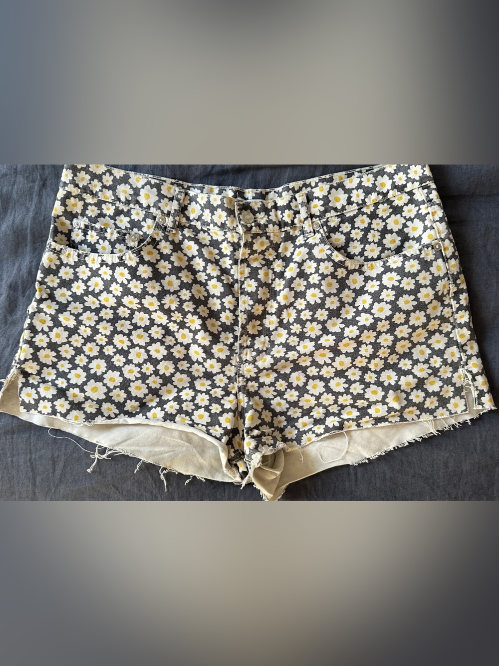 Zara Daisy Jean Shorts